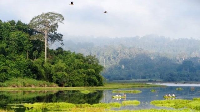 Birdwatching Spots in Vietnam & Best Time to Visit