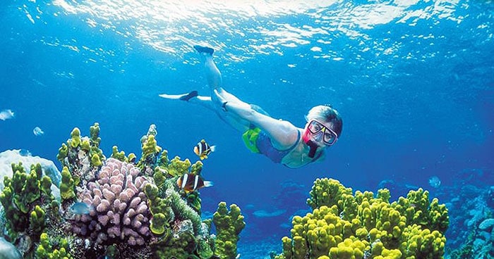 A Mini-Guide to Discover Cham Island