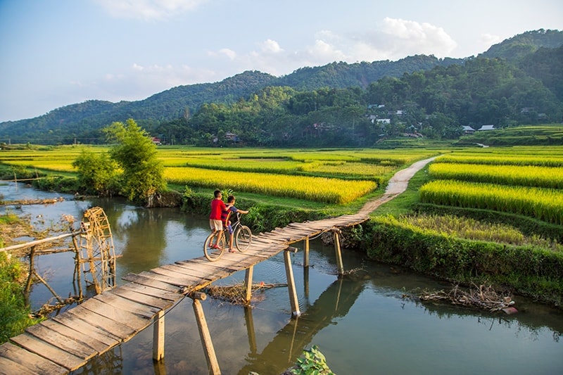 WHY SHOULD I VISIT VIETNAM ? 