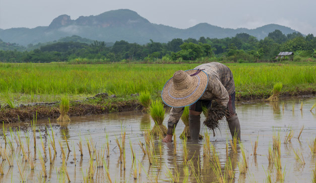 Vietnam du Nord authentique