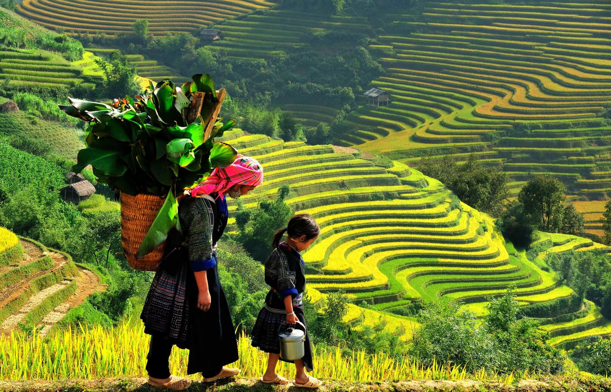 Trek authentique chez les ethnies du Nord Vietnam