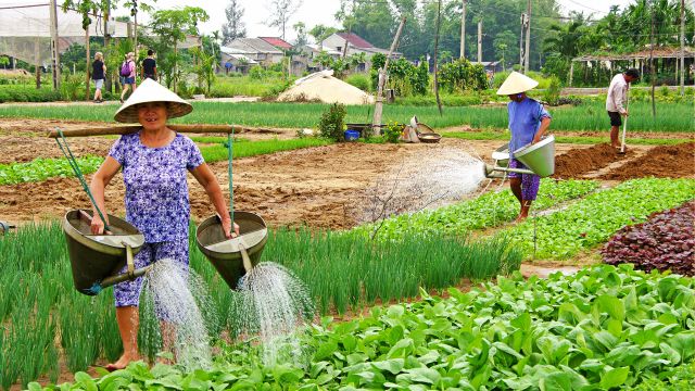 Vietnam et Cambodge en profondeur – Voyage sur mesure