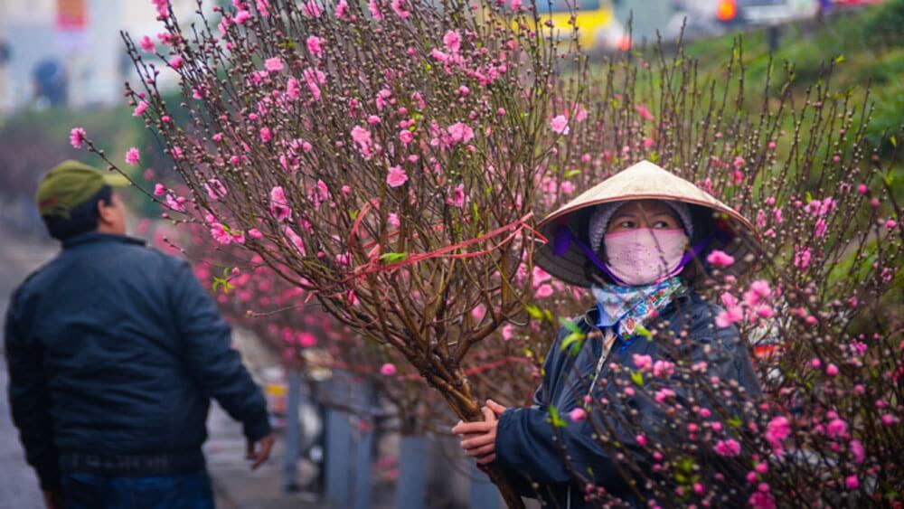 A guide for traveling to Vietnam during new year